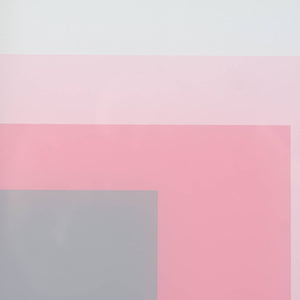Clayton Tremlett 'An Exploration of the Square using the Colours of a Galah #4'