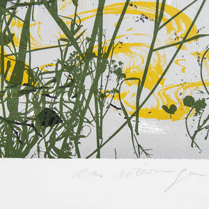 Ian Van Wieringen 'Untitled (Cheetahs in the Grass)'