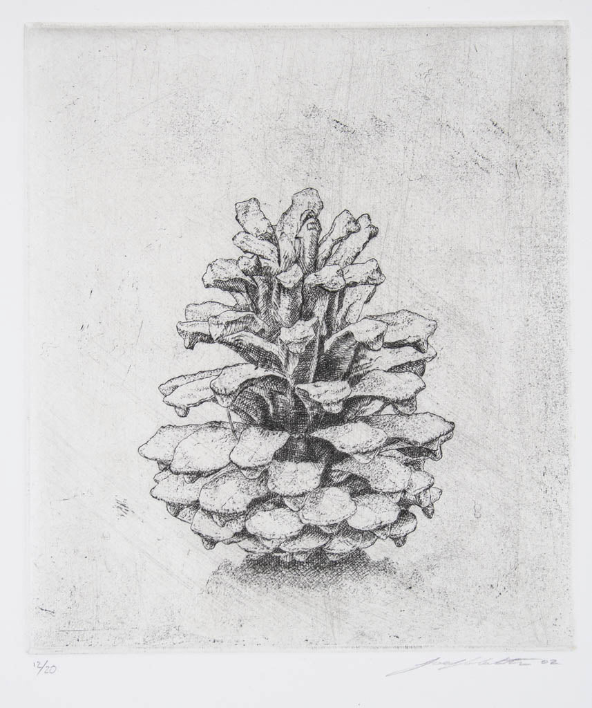 Joel Wolter 'Pine Cone'