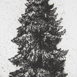 Joel Wolter 'Untitled [Fir tree]'